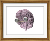 Close-up of a human brain with eye balls Fine Art Print