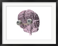 Close-up of a human brain with eye balls Fine Art Print
