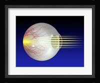 Close-up of the human eyeball Fine Art Print