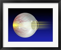 Close-up of the human eyeball Fine Art Print