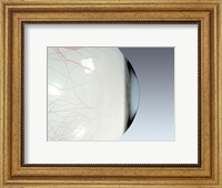 Close-up of the human eyeball side view Fine Art Print