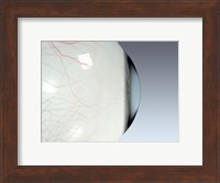 Close-up of the human eyeball side view Fine Art Print