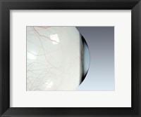 Close-up of the human eyeball side view Fine Art Print