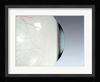 Close-up of the human eyeball side view Fine Art Print