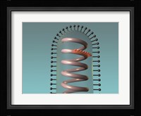 Close-up of antigens produced in the human cell Fine Art Print