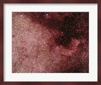 North America Nebula In Cygnus Fine Art Print