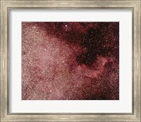 North America Nebula In Cygnus Fine Art Print