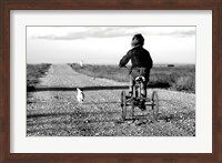 Rear view of a girl riding a bicycle Fine Art Print
