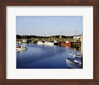 Orleans harbor, Cape Cod, Massachusetts Fine Art Print