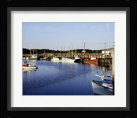 Orleans harbor, Cape Cod, Massachusetts Fine Art Print