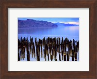 Wooden posts in water, Columbia River, Washington, USA Fine Art Print