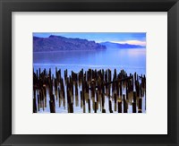 Wooden posts in water, Columbia River, Washington, USA Fine Art Print