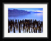 Wooden posts in water, Columbia River, Washington, USA Fine Art Print