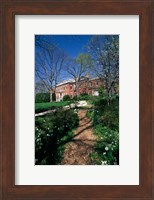 Trees in a garden, Dumbarton Oaks House, Georgetown, Washington DC, USA Fine Art Print