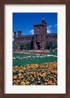 Formal garden in front of a museum, Smithsonian Institution, Washington DC, USA Fine Art Print