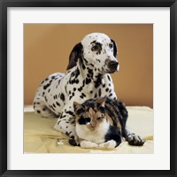 Dalmatian and Cat Fine Art Print