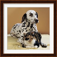 Dalmatian and Cat Fine Art Print