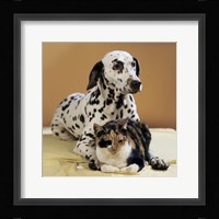 Dalmatian and Cat Framed Print