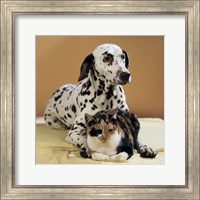 Dalmatian and Cat Fine Art Print