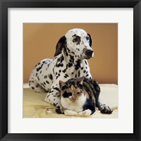 Dalmatian and Cat Fine Art Print