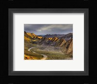 Cockscomb cottonwood Framed Print