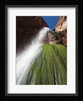 Lower Ribbon Falls off the North Kaibab Trail in the Grand Canyon Fine Art Print