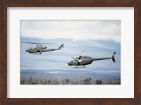 A left side view of an AH-1 Cobra helicopter, front, and an OH-58 Kiowa helicopter Fine Art Print