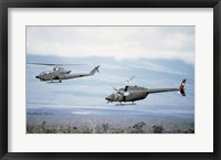 A left side view of an AH-1 Cobra helicopter, front, and an OH-58 Kiowa helicopter Fine Art Print