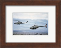 A left side view of an AH-1 Cobra helicopter, front, and an OH-58 Kiowa helicopter Fine Art Print