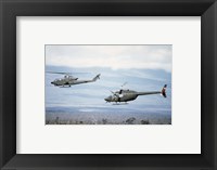 A left side view of an AH-1 Cobra helicopter, front, and an OH-58 Kiowa helicopter Framed Print