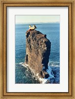 Labrador helicopter landing Bell Island Fine Art Print