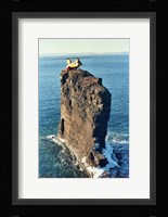 Labrador helicopter landing Bell Island Fine Art Print