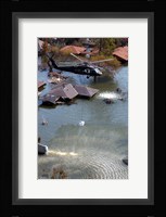 A Blackhawk helicopter drops sandbags into an area where the levee broke due to Hurricane Katrina Fine Art Print