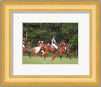 Polo Umpire Fine Art Print