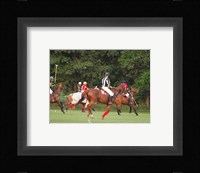 Polo Umpire Framed Print