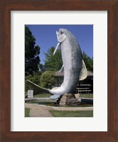Adaminaby big trout Fine Art Print