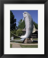 Adaminaby big trout Fine Art Print