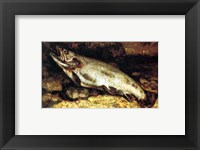 Gustave Courbet - The Trout Fine Art Print