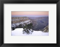 High angle view of a tree on a snow covered mountain, South Rim, Grand Canyon National Park, Arizona, USA Fine Art Print