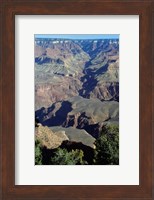 Grand Canyon National Park with Green Trees Fine Art Print