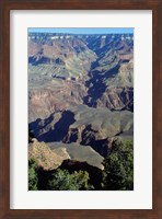 Grand Canyon National Park with Green Trees Fine Art Print