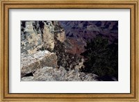 Looking Down Into the Grand Canyon Fine Art Print