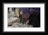 Looking Down Into the Grand Canyon Framed Print