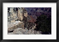 Looking Down Into the Grand Canyon Framed Print