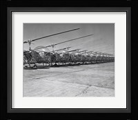 Helicopters in a row, Bell H-13D, Korean War Fine Art Print