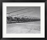 Helicopters in a row, Bell H-13D, Korean War Fine Art Print