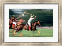 Polo - running horses Fine Art Print