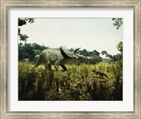 Triceratops with a tyrannosaur and a torosaurus in a forest Fine Art Print