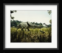 Triceratops with a tyrannosaur and a torosaurus in a forest Fine Art Print