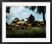 Herd of Anatosaurus Fine Art Print